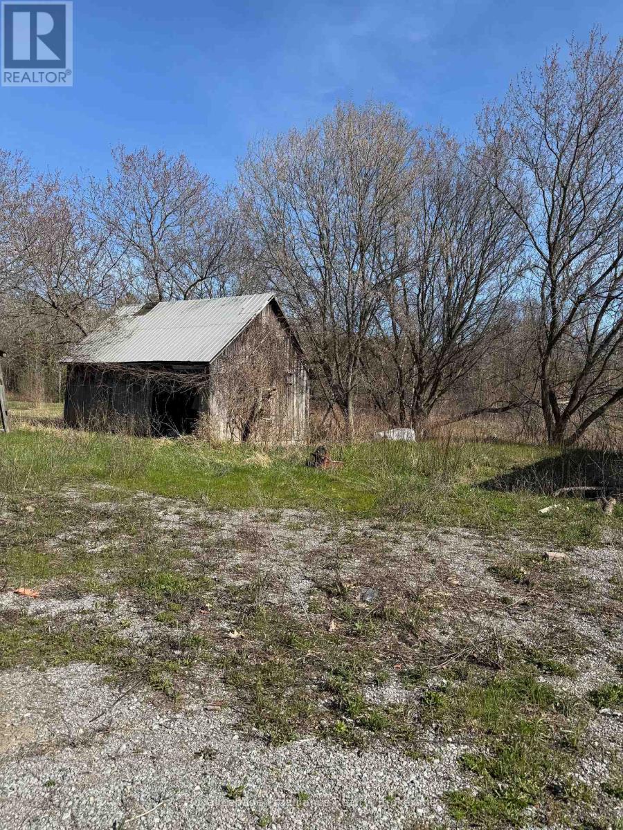303 BRIMLEY ROAD S - 14