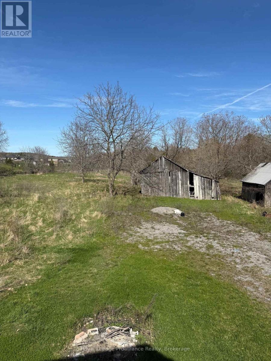 303 BRIMLEY ROAD S - 9