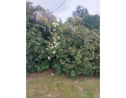 7566 Dunsmuir Street, Mission, BC V2V4B4 Photo 34