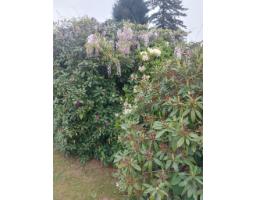 7566 Dunsmuir Street, Mission, BC V2V4B4 Photo 35
