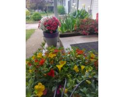 7566 Dunsmuir Street, Mission, BC V2V4B4 Photo 37
