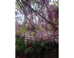 7566 Dunsmuir Street, Mission, BC V2V4B4 Photo 38