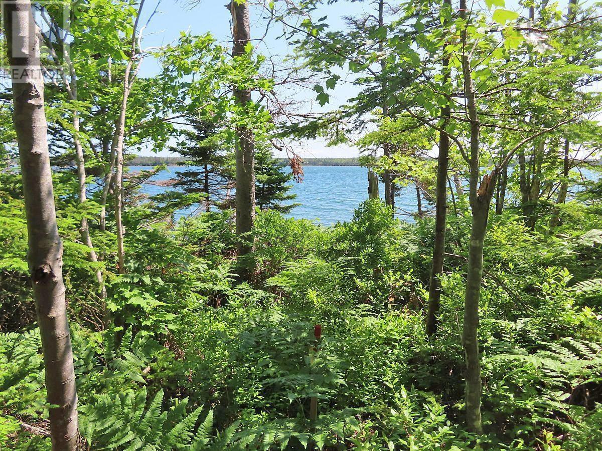 Property 11 of 43 of Lot 2 Perry Lane