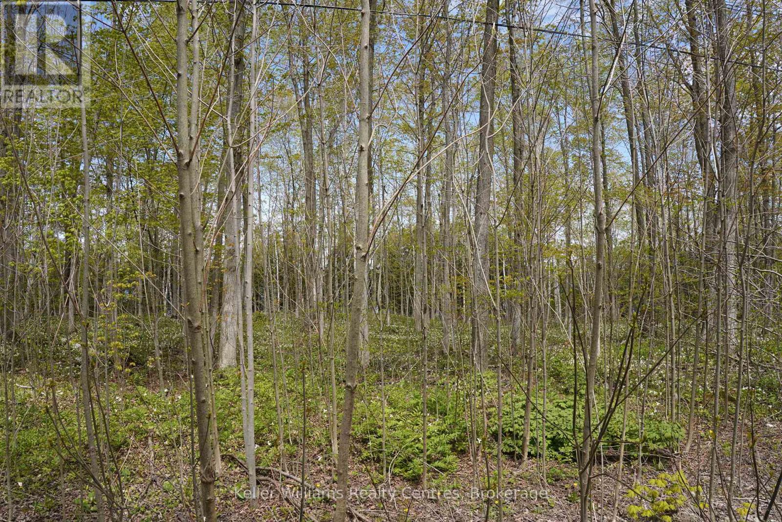 270 TAMMY’S COVE ROAD