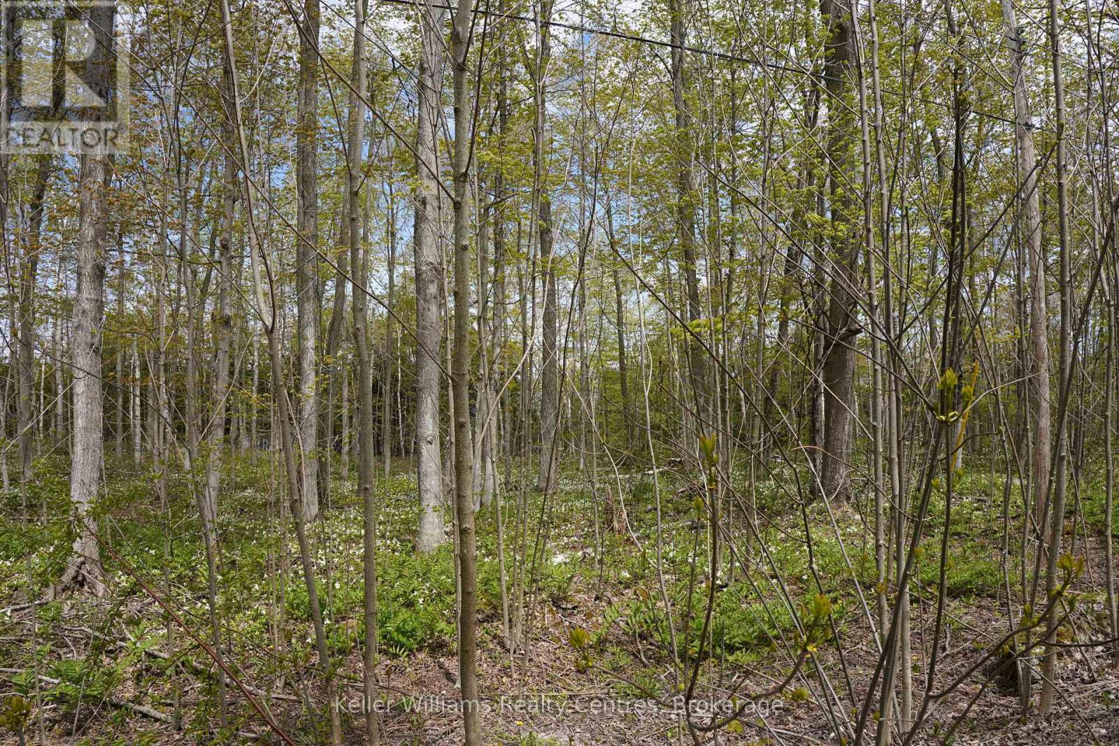 270 TAMMY’S COVE ROAD