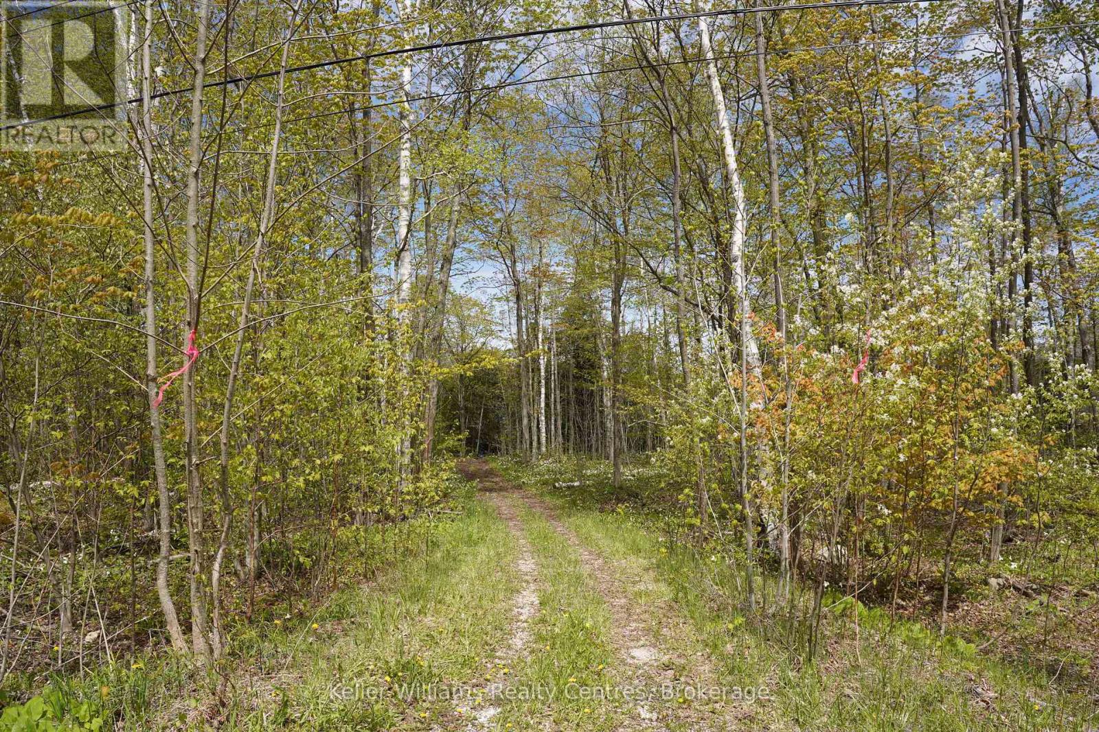266 TAMMY’S COVE ROAD