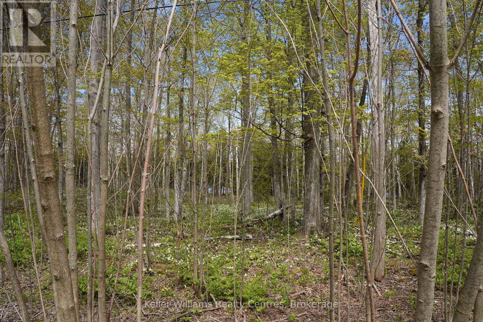 266 TAMMY’S COVE ROAD