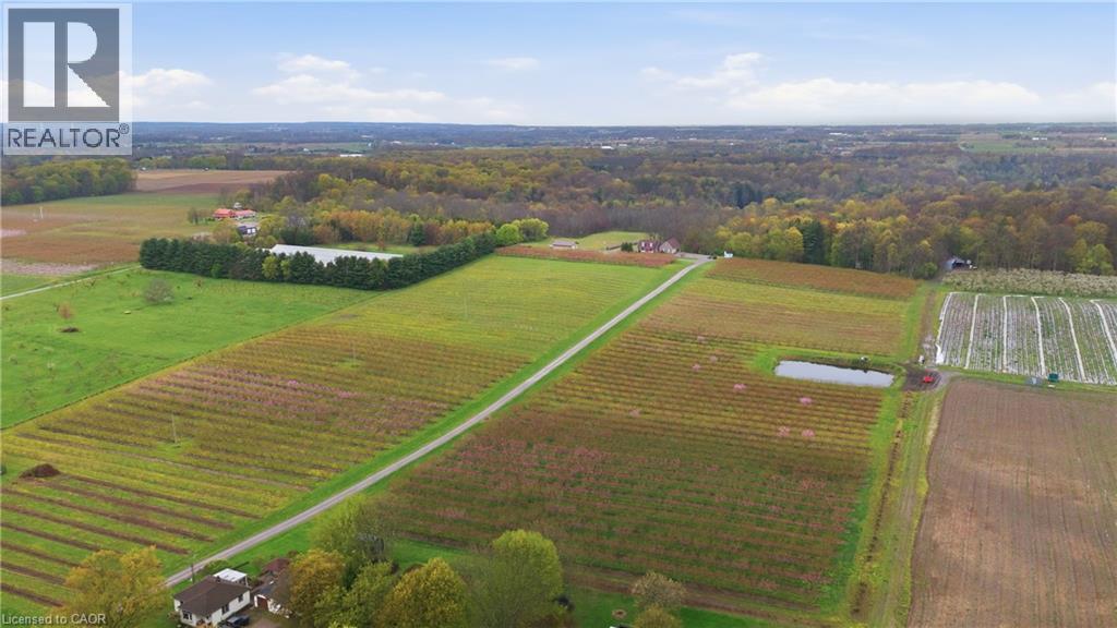 461 TICE Road - 36