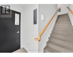 442 Sunnyside Avenue, Ottawa, ON K1S0S9 Photo 33
