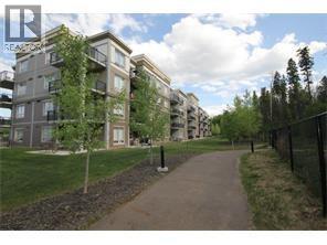 #2117 204 Sparrow Hawk Drive - 19