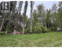 3813 Loloff Crescent, Quesnel, BC V2J6E3 Photo 35