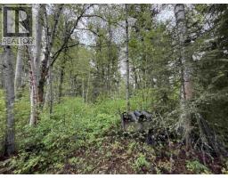 3813 Loloff Crescent, Quesnel, BC V2J6E3 Photo 37
