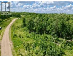 74, 50226 Range Road 204, Rural Beaver County, AB T0B4A0 Photo 12