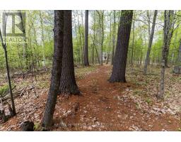 131 Island View Drive, North Algona Wilberforce, ON K0J1X0 Photo 22