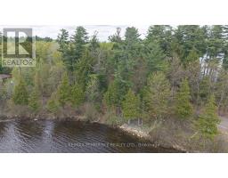 131 Island View Drive, North Algona Wilberforce, ON K0J1X0 Photo 29