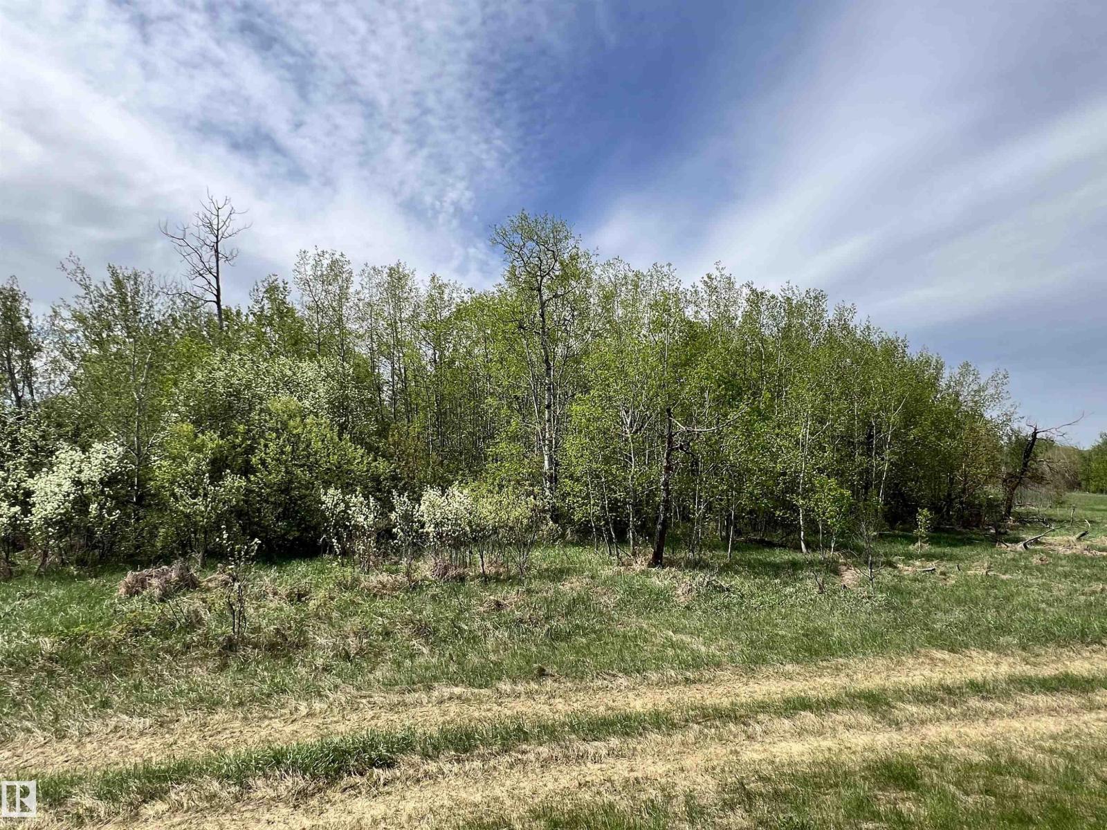 1029 Twp Rd 564 — photo 14