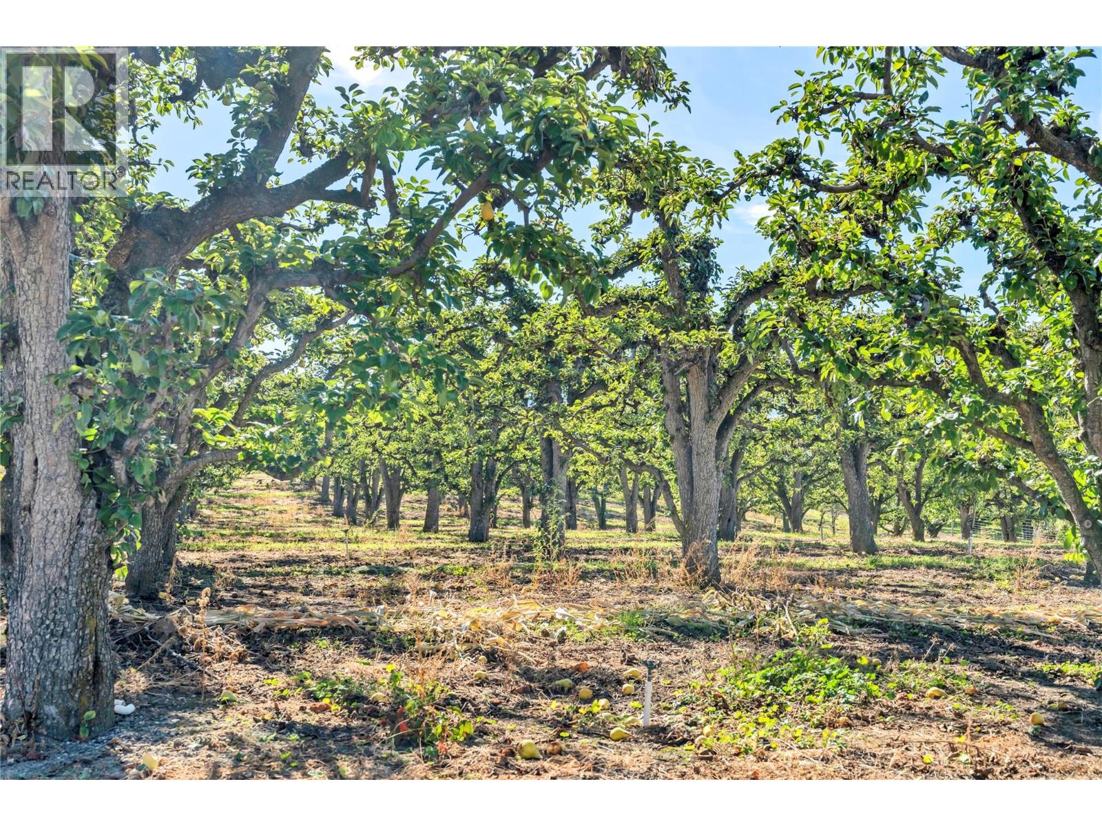 235 Middle Bench Road N, Penticton