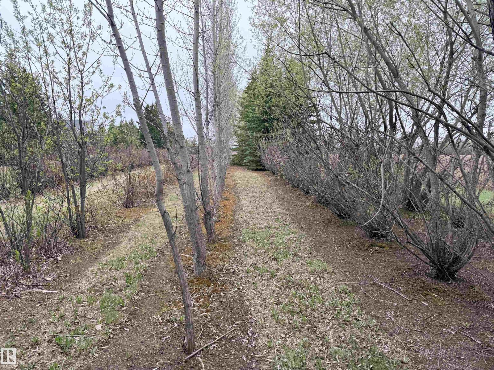 60215 RGE ROAD 13 — photo 50