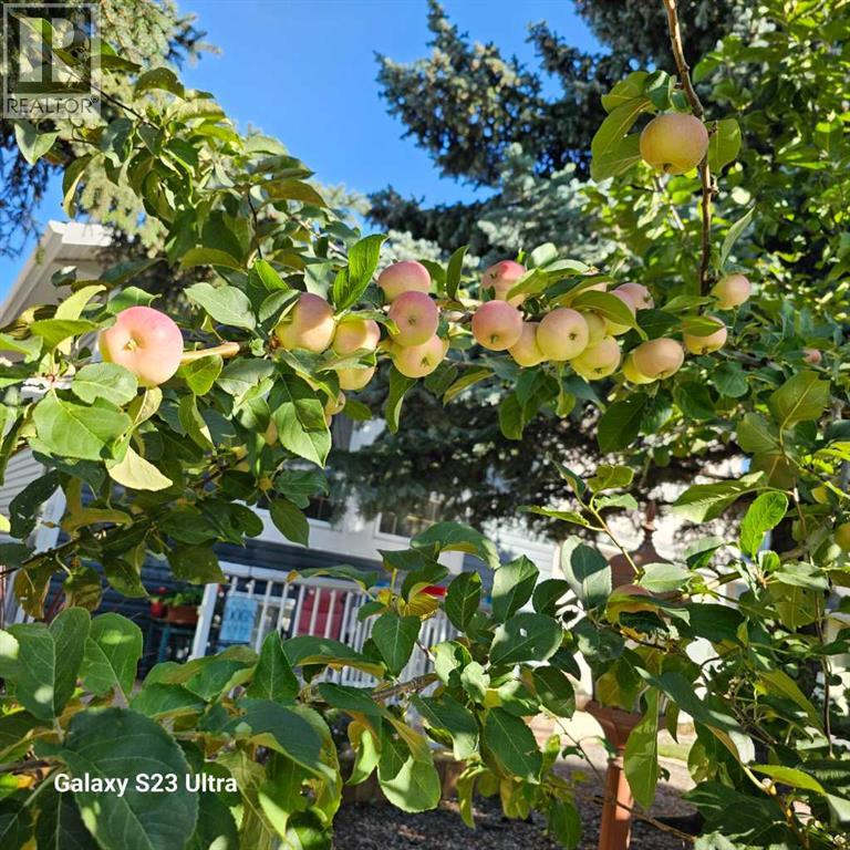 131 Woodglen Way SW - 33
