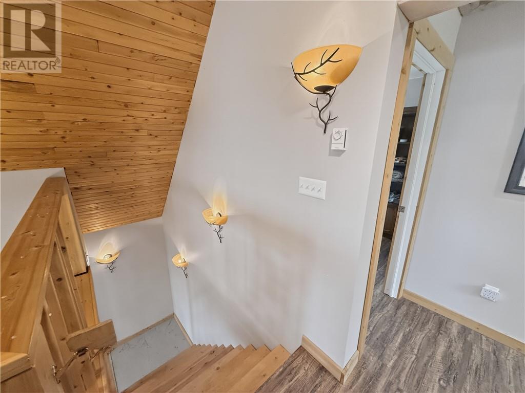 710 Ice Lake Drive - 26