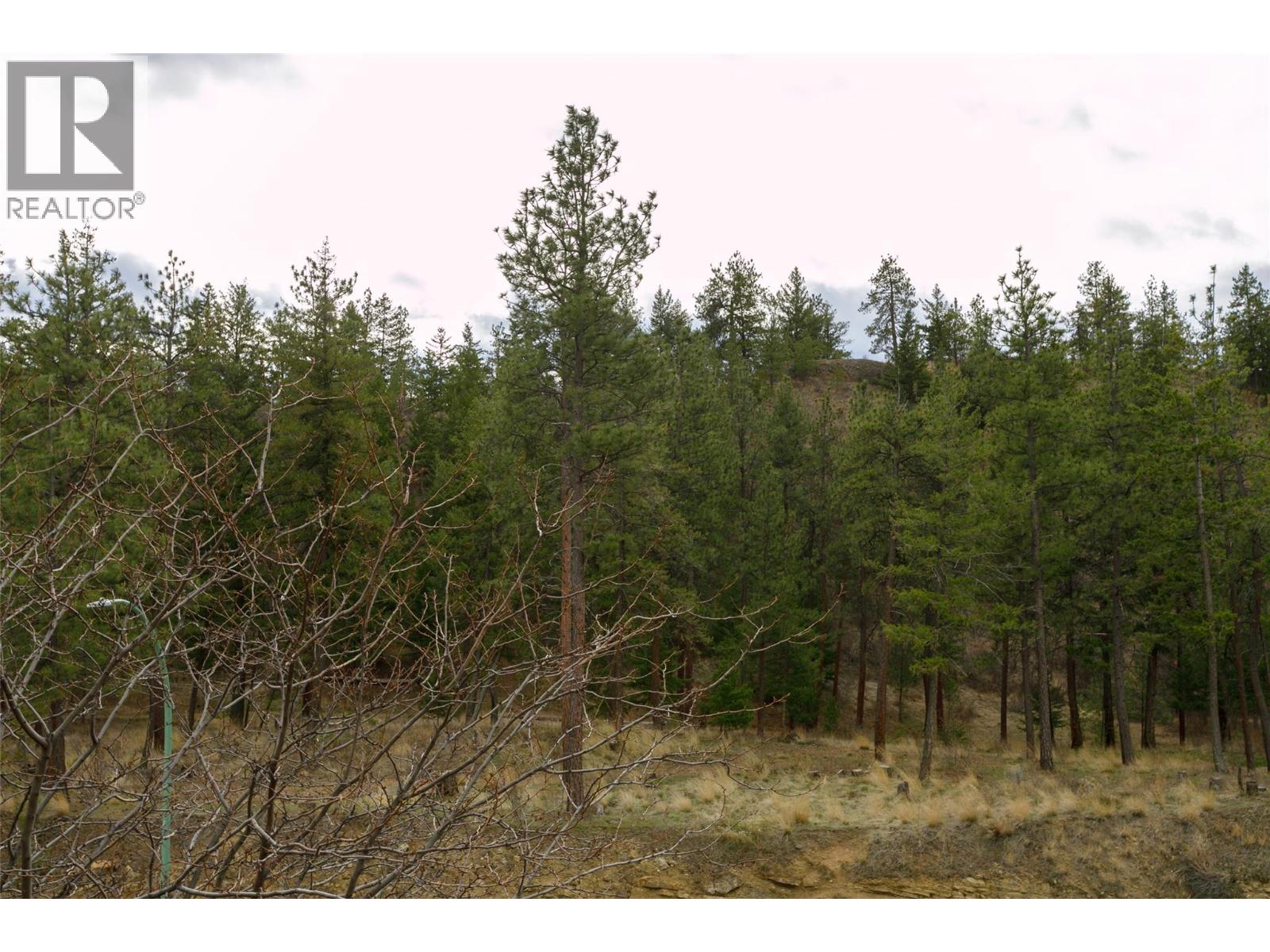#2309 2200 Upper Sundance Drive - 29