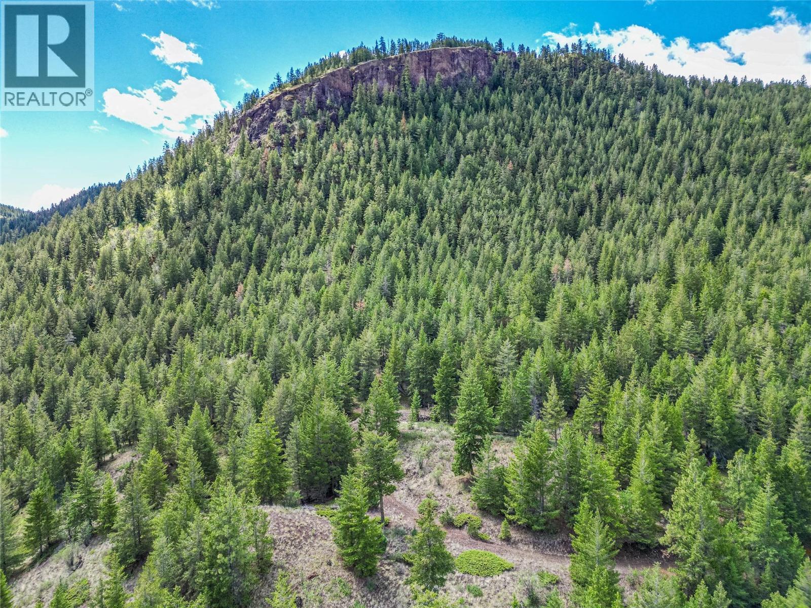 1566 Barnhartvale Road - 51
