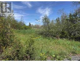 Lot 13.7 Acres Shore Road, Merigomish, NS B0K1G0 Photo 7