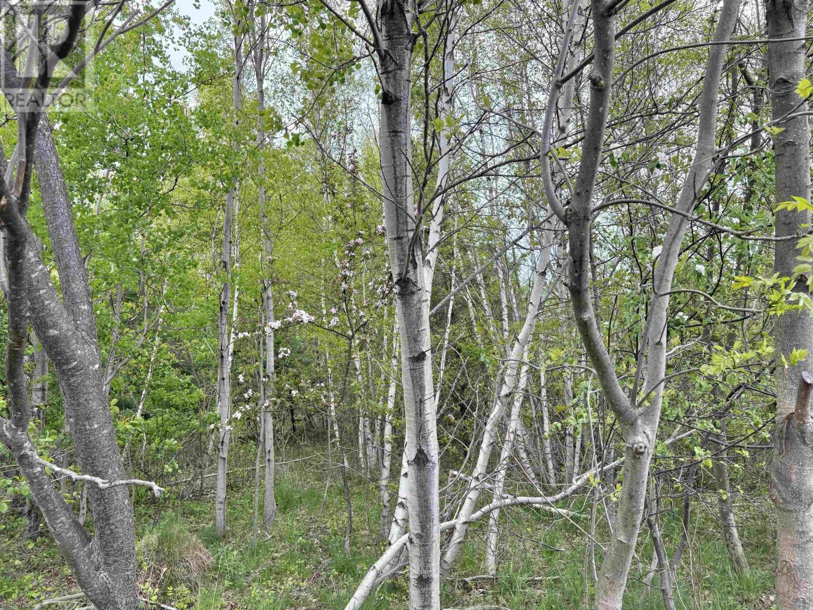 Property 3 of 7 of Lot Eighth Street