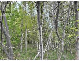 Lot Eighth Street, Trenton, NS B0K1X0 Photo 7