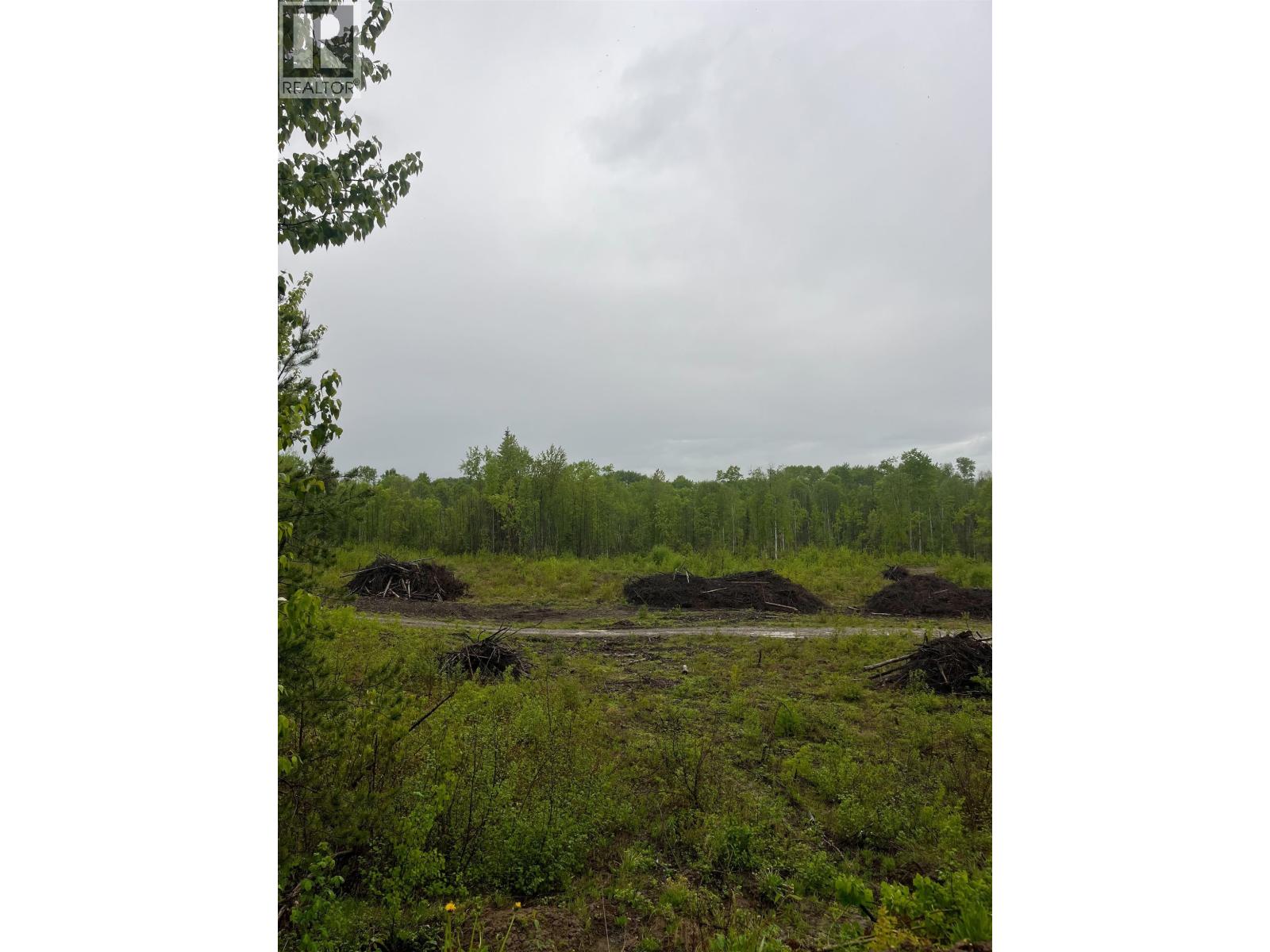 Backyard of DL 4205 MIWORTH ROAD · Prince George, BC