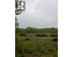 Backyard of DL 4205 MIWORTH ROAD · Prince George, BC