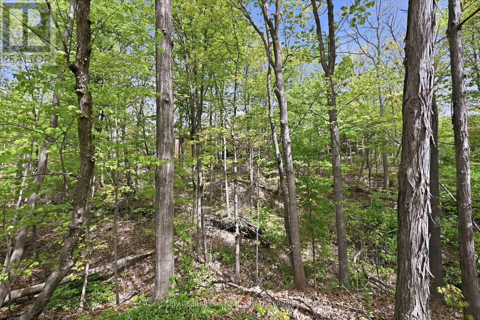 #4 1095 SKYVIEW DRIVE - 47