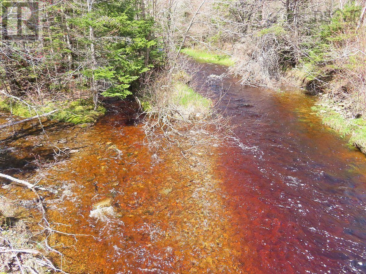 128.5 Acres West Side Road
