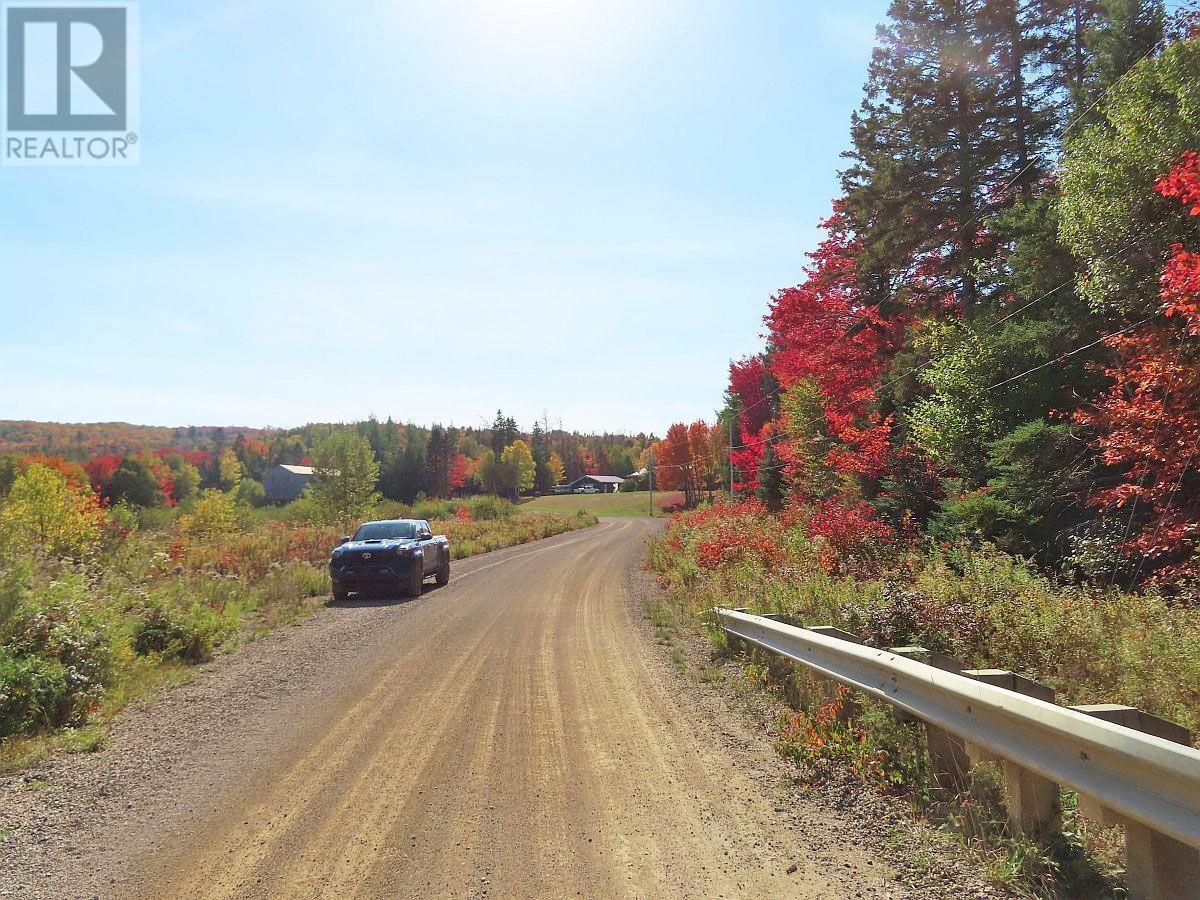 Property 21 of 47 of 128.5 Acres West Side Road