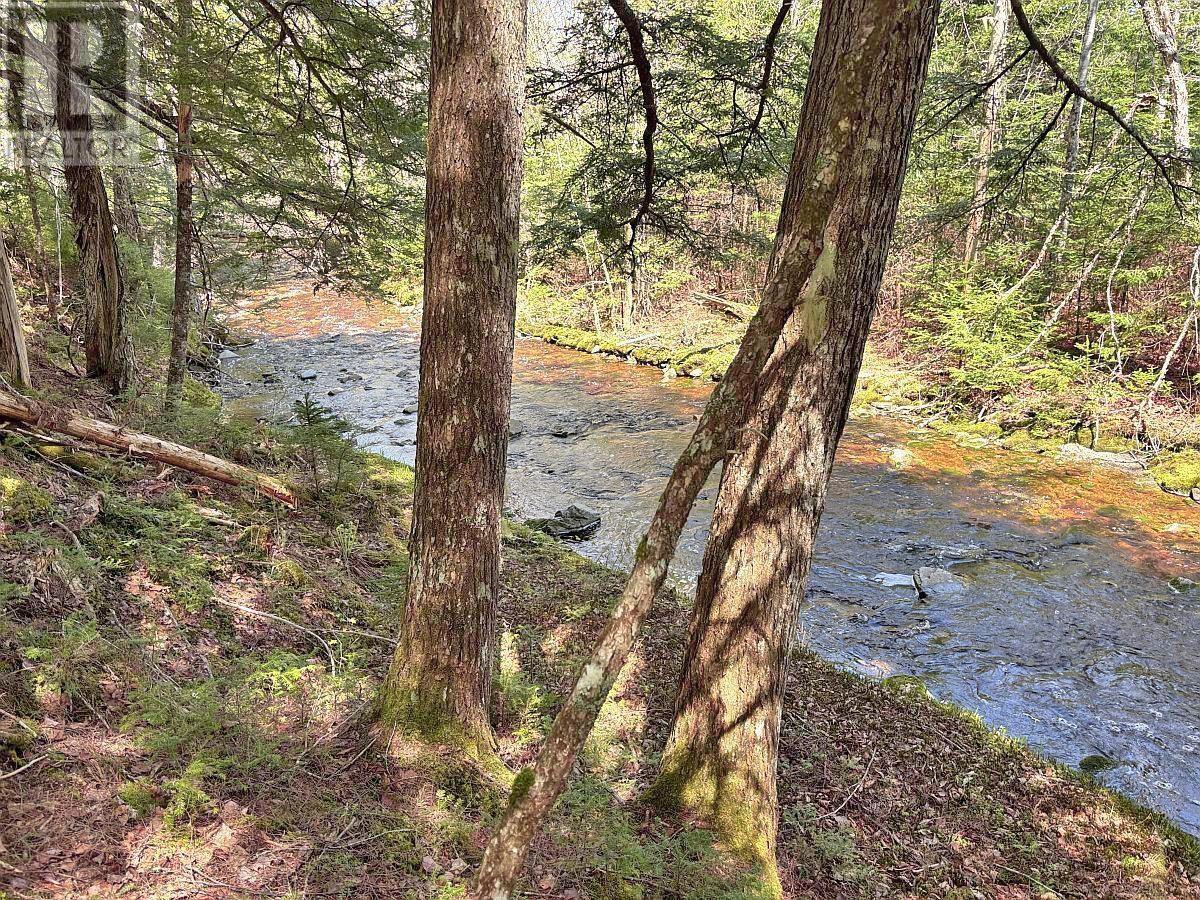 Property 7 of 47 of 128.5 Acres West Side Road