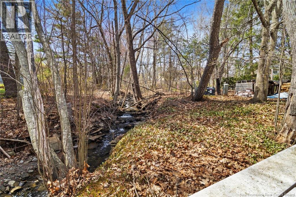 19 Forest Acres Court - 46