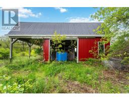 4706 Highway 340, Havelock, NS B0W3T0 Photo 41