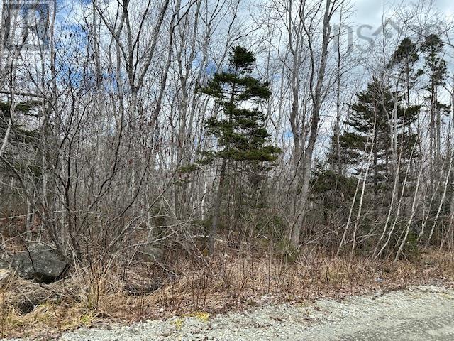 Property 3 of 3 of Lot 16 Old Port Mouton Road
