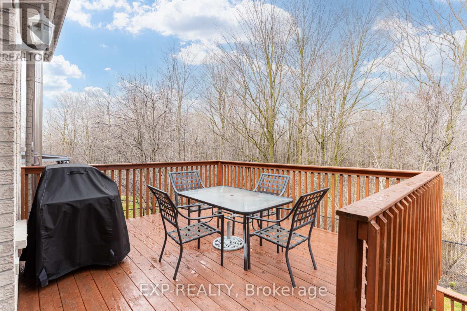 13 BLUEBERRY HILL COURT - 39