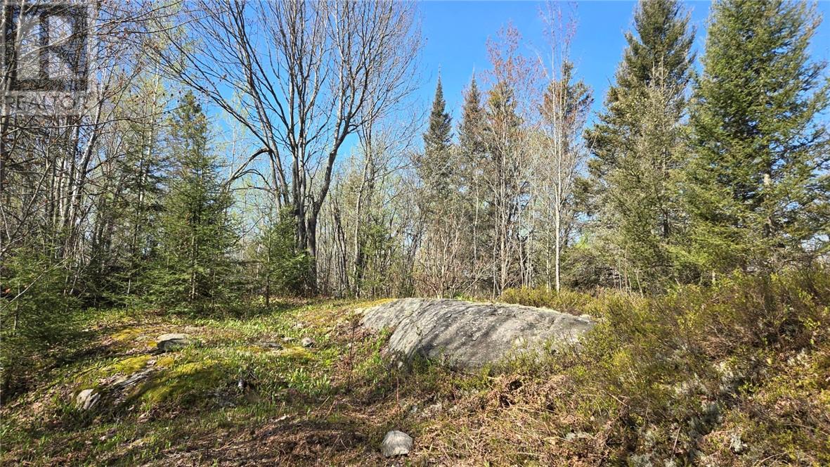 Lot 6 Con 3 Rabbit Trail Road, Warren — photo 2
