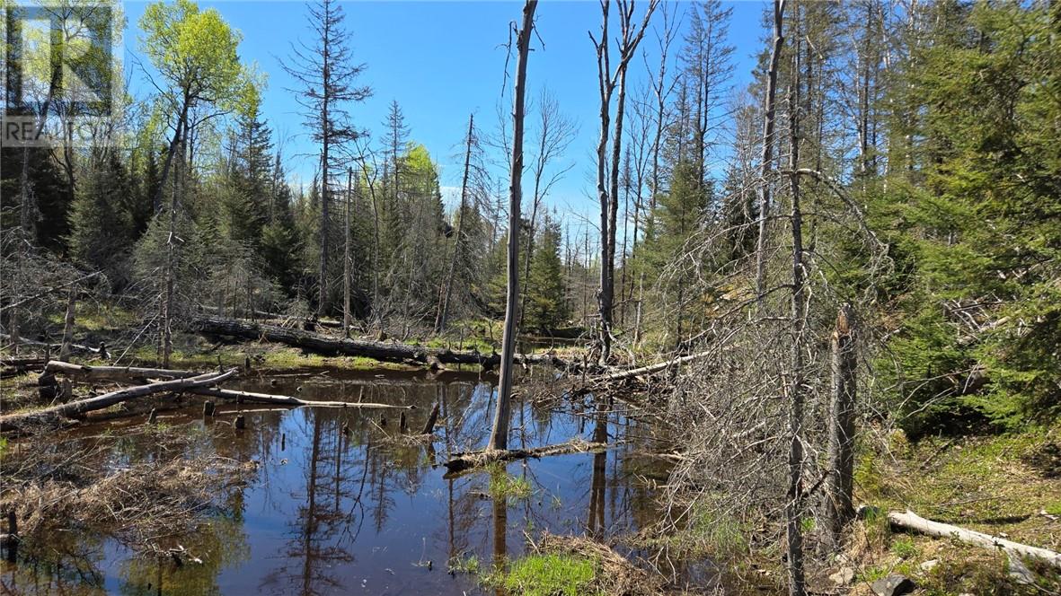 Lot 6 Con 3 Rabbit Trail Road, Warren — photo 3
