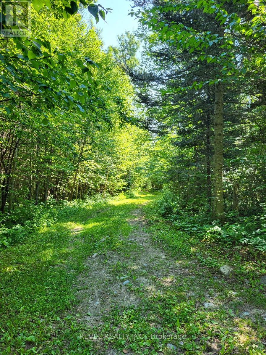 36 HORWOOD COTTAGER RD - 38