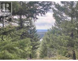 Dl3723 Julsrud Road, Deka Lake / Sulphurous / Hathaway Lakes, BC V0K1X3 Photo 13