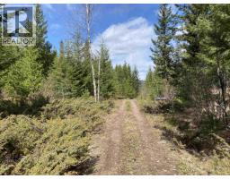Dl3723 Julsrud Road, Deka Lake / Sulphurous / Hathaway Lakes, BC V0K1X3 Photo 7