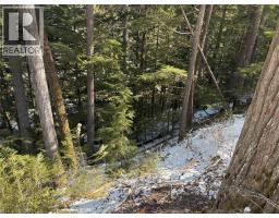 1020 Forest Service Road Seymour Arm Road, Seymour Arm, BC  Photo 9