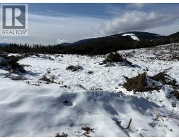 1020 Forest Service Road Seymour Arm Road, Seymour Arm, BC  Photo 6