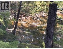 1020 Forest Service Road Seymour Arm Road, Seymour Arm, BC  Photo 8