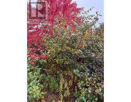 555-559 Marine Drive thumbnail 10