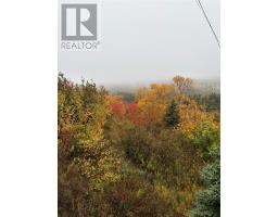 555-559 Marine Drive thumbnail 9