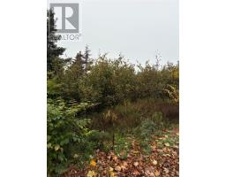 555-559 Marine Drive thumbnail 12